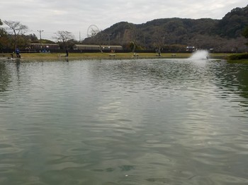 201106秋川湖 (1).JPG