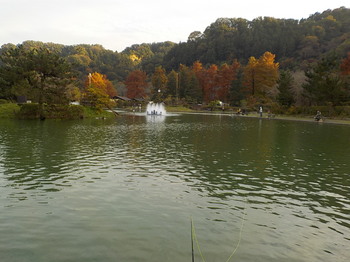 201106秋川湖 (18).JPG