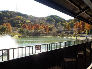 201110秋川湖 (15).JPG
