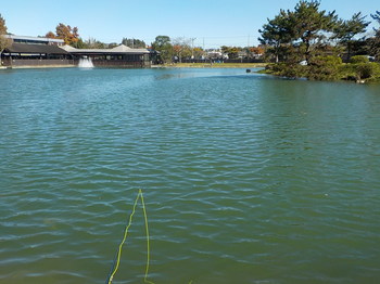201110秋川湖 (8).JPG