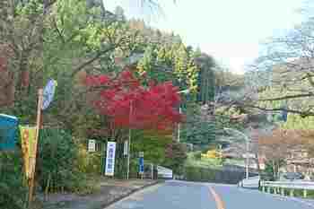 201112秋川渓谷 (48-1).jpg