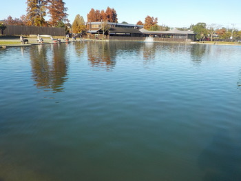 201114秋川湖 (1).JPG