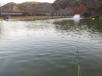 201114秋川湖 (12).JPG