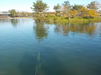 201114秋川湖 (2).JPG