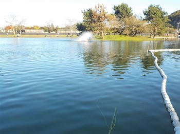 201114秋川湖 (6).JPG