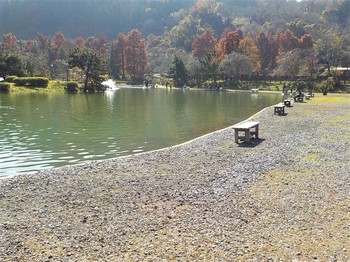 201116秋川湖 (1).JPG