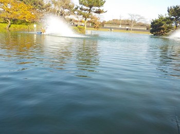 201116秋川湖 (21).JPG