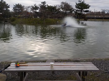 201123秋川湖 (26).JPG