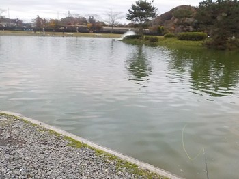 201123秋川湖 (35).JPG