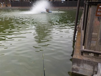 201129秋川湖 (17).JPG