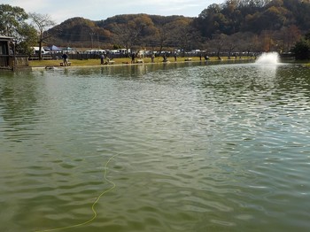 201129秋川湖 (3).JPG
