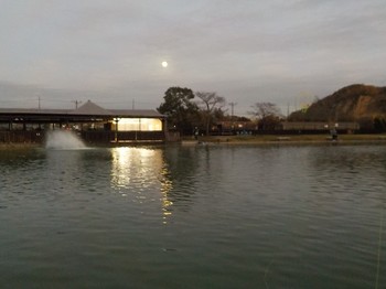 201129秋川湖 (31).JPG