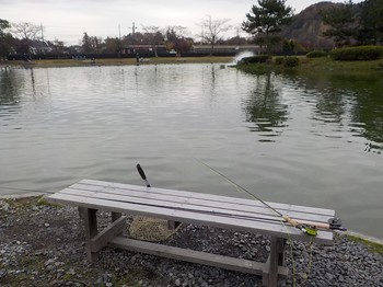 201202秋川湖 (10).JPG