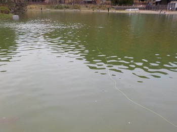 201202秋川湖 (13).JPG