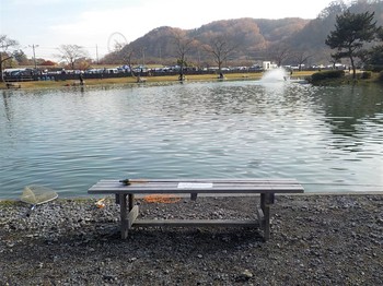 201213秋川湖 (4).JPG