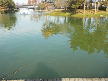 201213秋川湖 (8).JPG