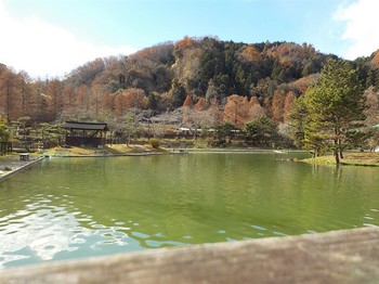 201216秋川湖 (17).JPG