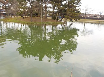 201216秋川湖 (30).JPG
