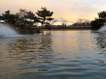 201216秋川湖 (42).JPG