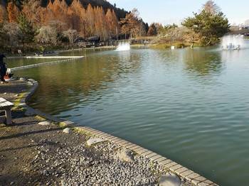 201218秋川湖 (1).JPG