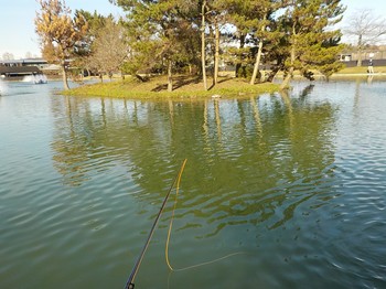 201218秋川湖 (2).JPG