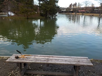 201219秋川湖 (22).JPG