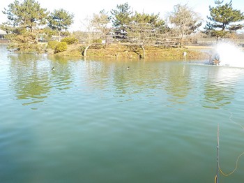 201223秋川湖 (23).JPG