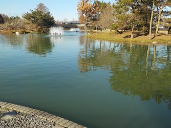 201223秋川湖 (27).JPG