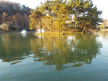 201223秋川湖 (36).JPG