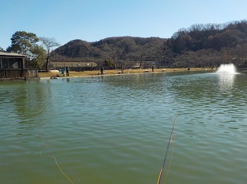 201223秋川湖 (7).JPG
