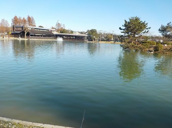 201223秋川湖 (9).JPG