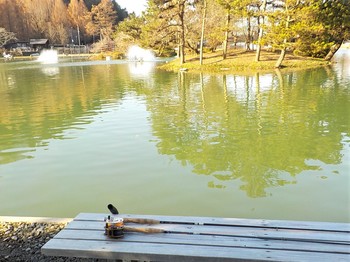 201226秋川湖 (31).JPG