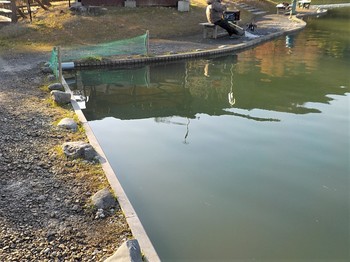 201226秋川湖 (35).JPG