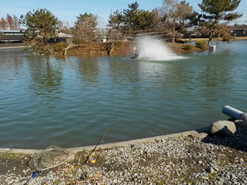 201226秋川湖 (4).JPG