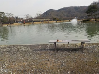 201229秋川湖 (20).JPG