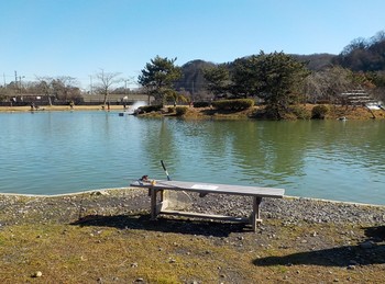 210102秋川湖 (6).JPG