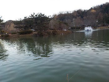 210103秋川湖 (38).JPG