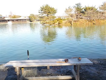 210104秋川湖 (14).JPG