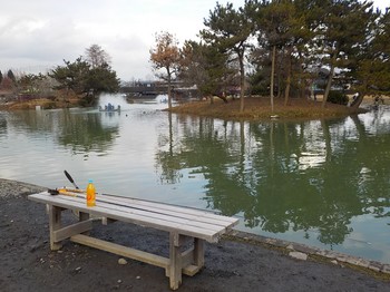 210106秋川湖 (1).JPG