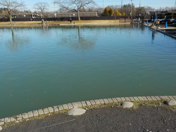 210113秋川湖 (8).JPG