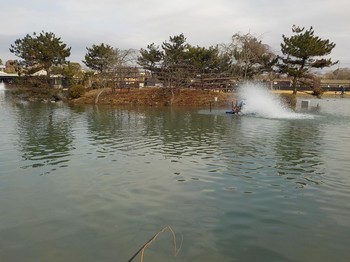 210118秋川湖 (14).JPG