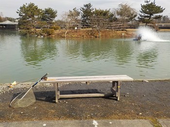 210118秋川湖 (4).JPG
