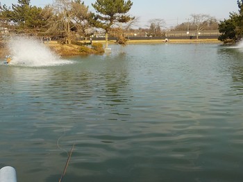 210118秋川湖 (50).JPG