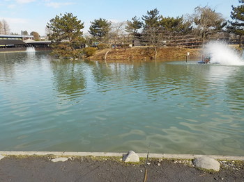 210122秋川湖 (2).JPG