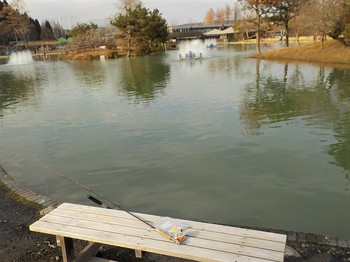 210122秋川湖 (36).JPG