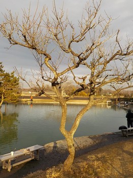 210122秋川湖 (48).JPG