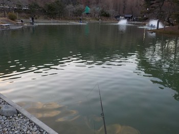 210127秋川湖 (51).JPG