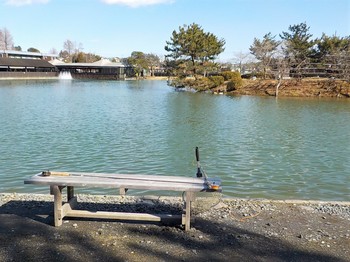 210129秋川湖 (5).JPG