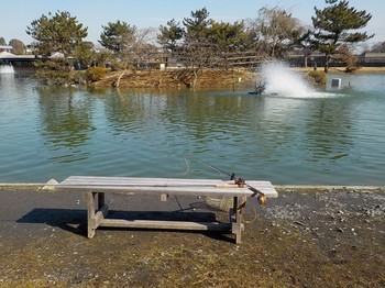 210201秋川湖 (1).JPG