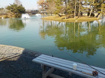 210201秋川湖 (31).JPG